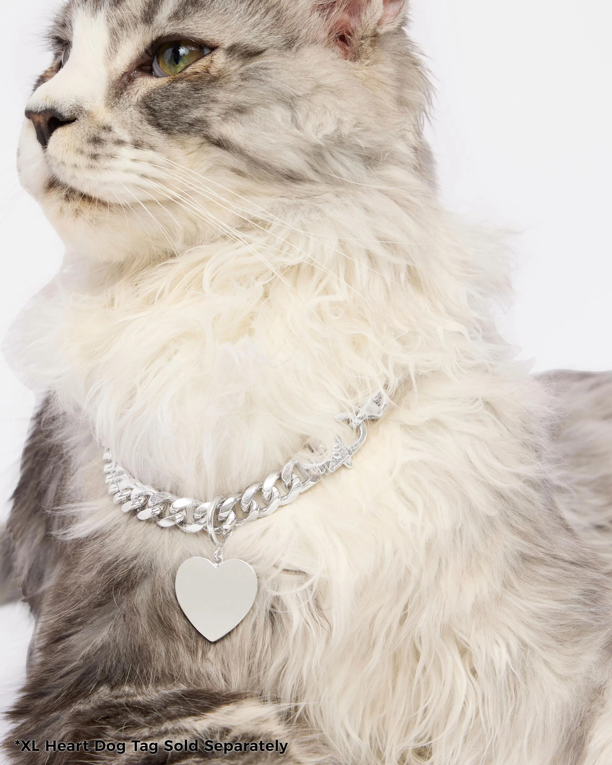 Thor Cuban Chain Pet Necklace 10.8mm - Silver - Image 3