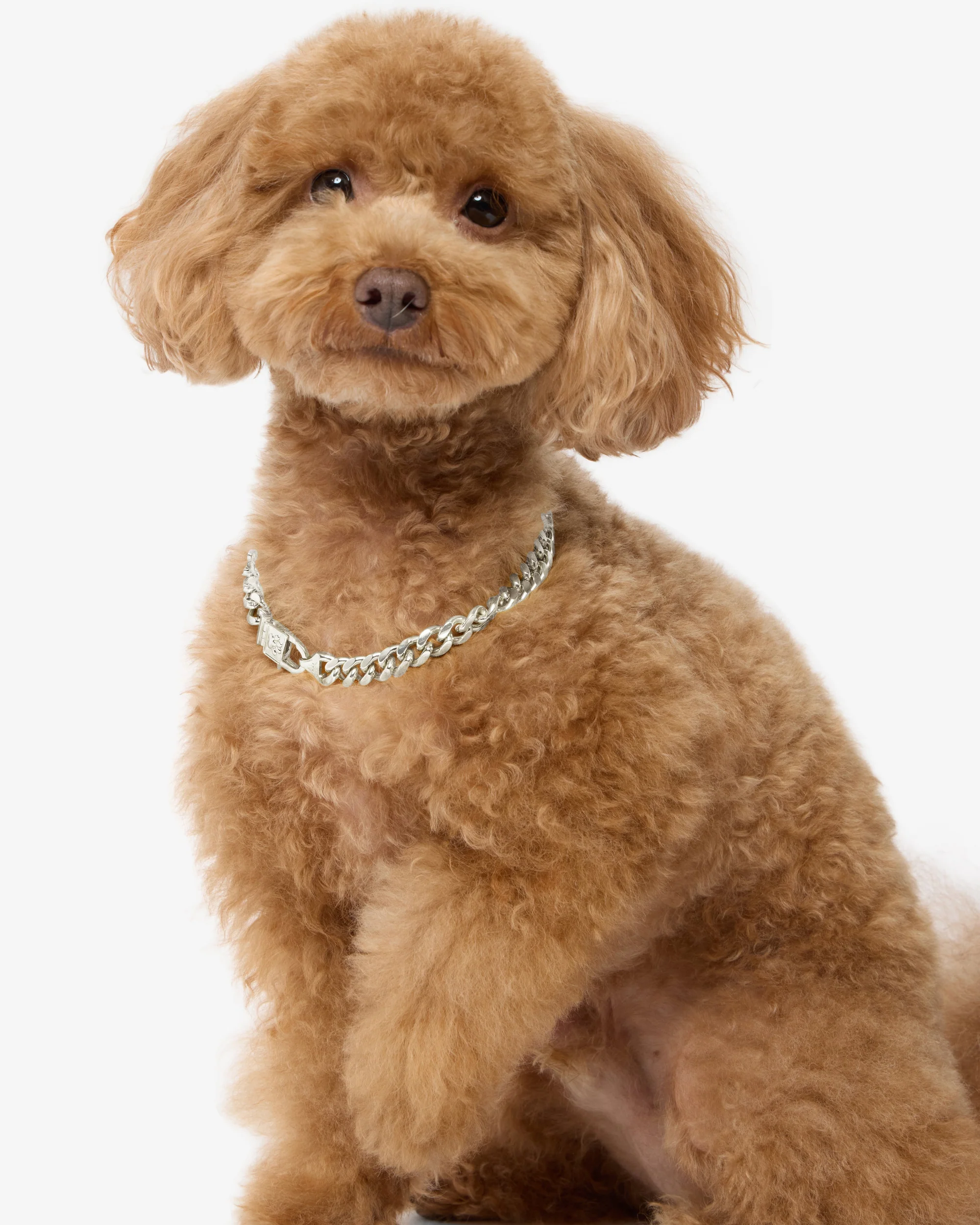 Thor Cuban Chain Pet Necklace 10.8mm - Silver - Image 6