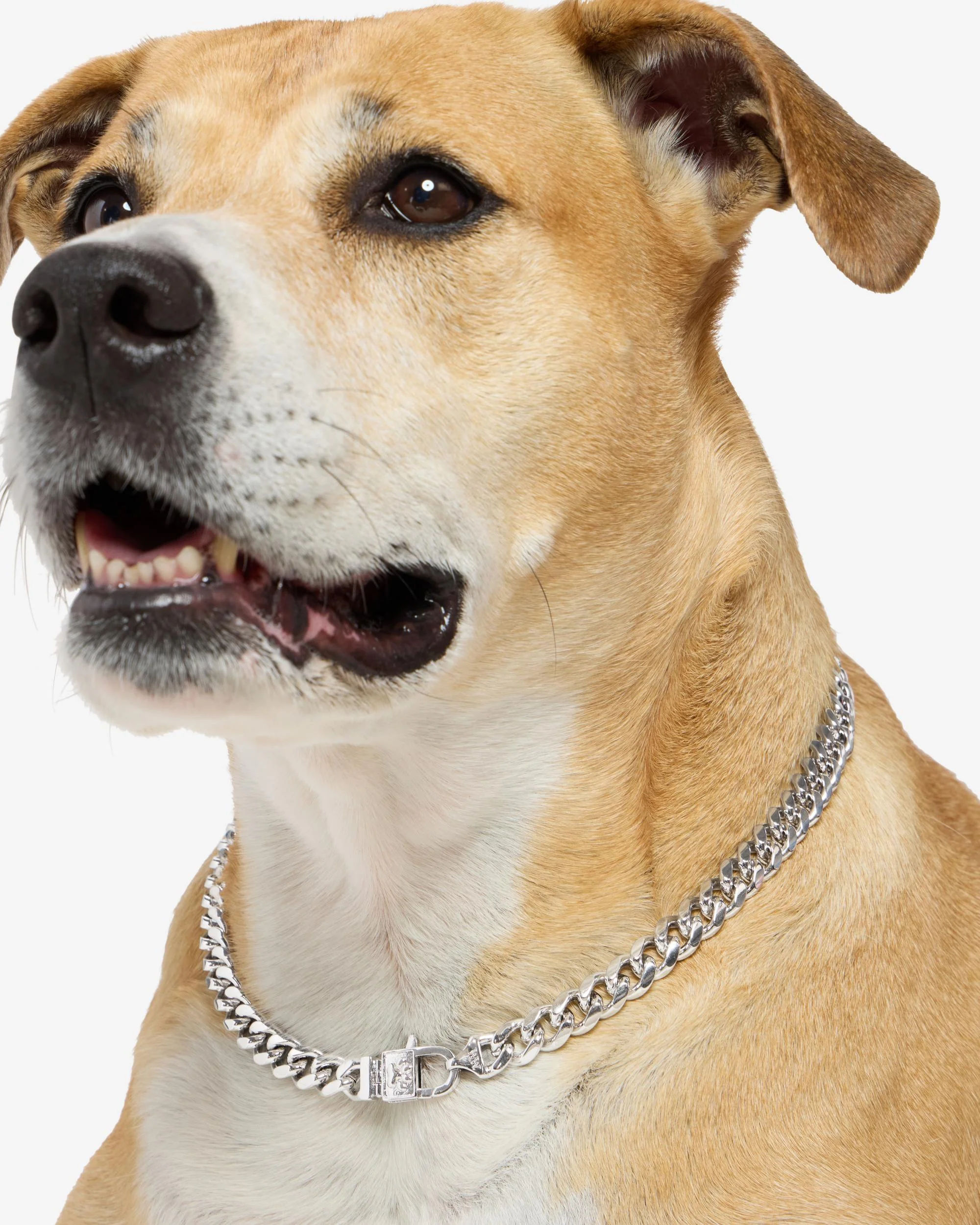 Thor Cuban Chain Pet Necklace 10.8mm - Silver - Image 9
