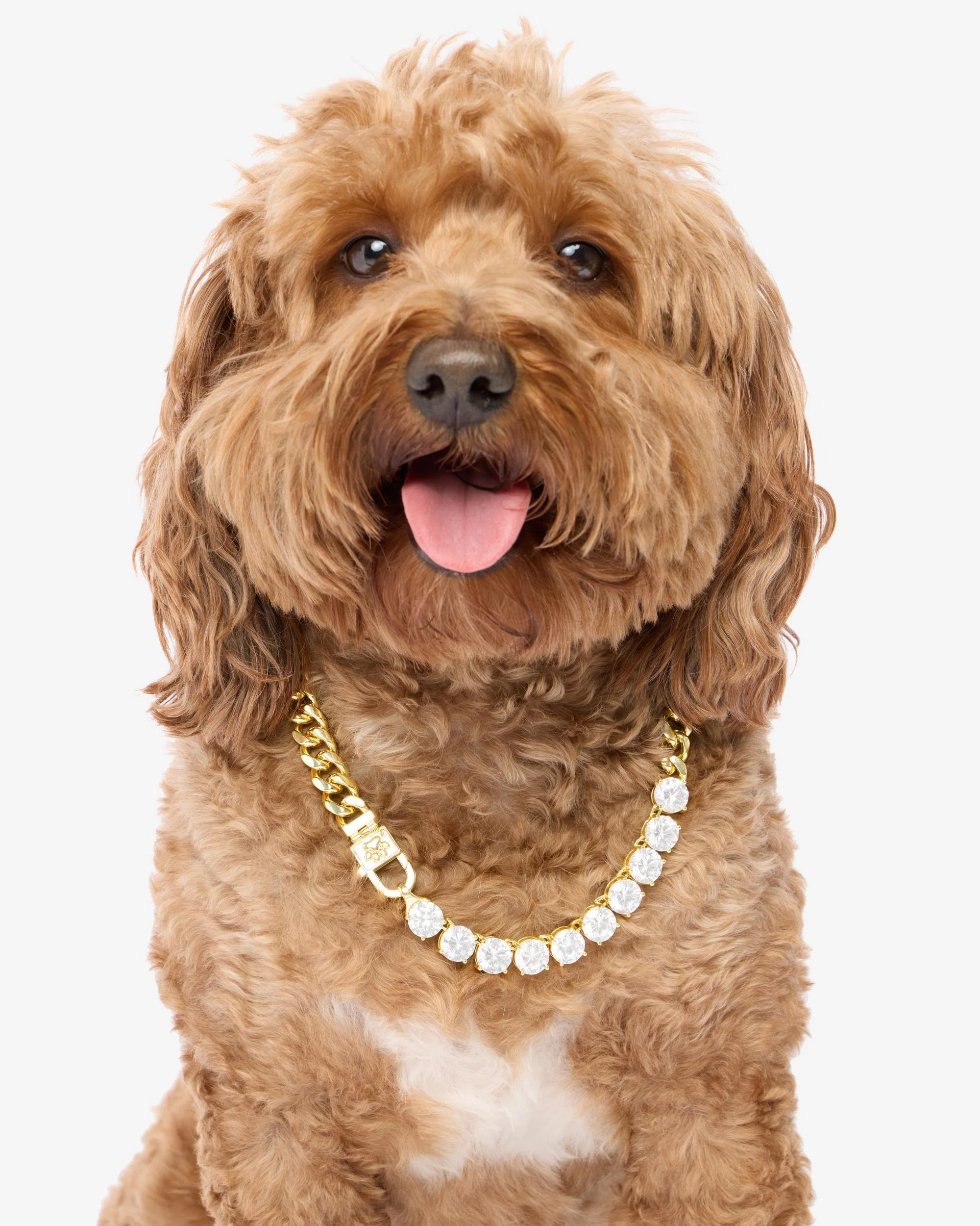 Thor Loves Diamonds Pet Necklace - Gold|White Diamondettes - Image 12