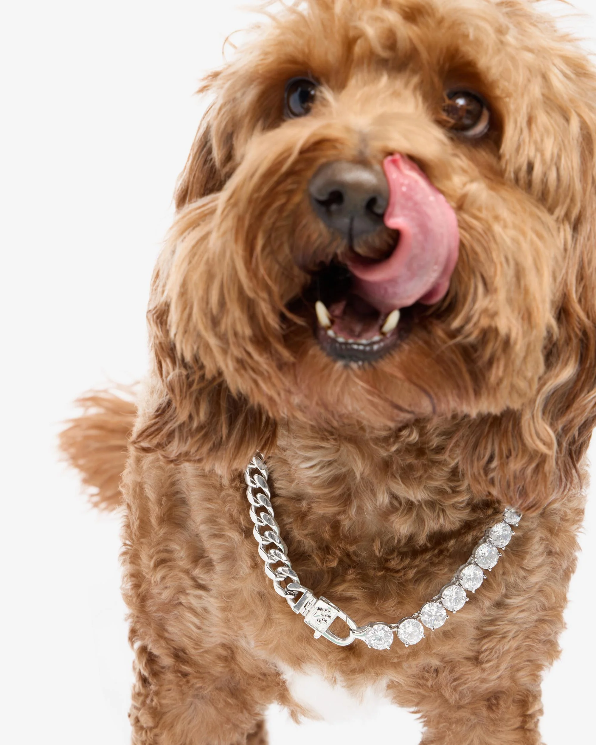 Thor Loves Diamonds Pet Necklace - Silver|White Diamondettes - Image 12