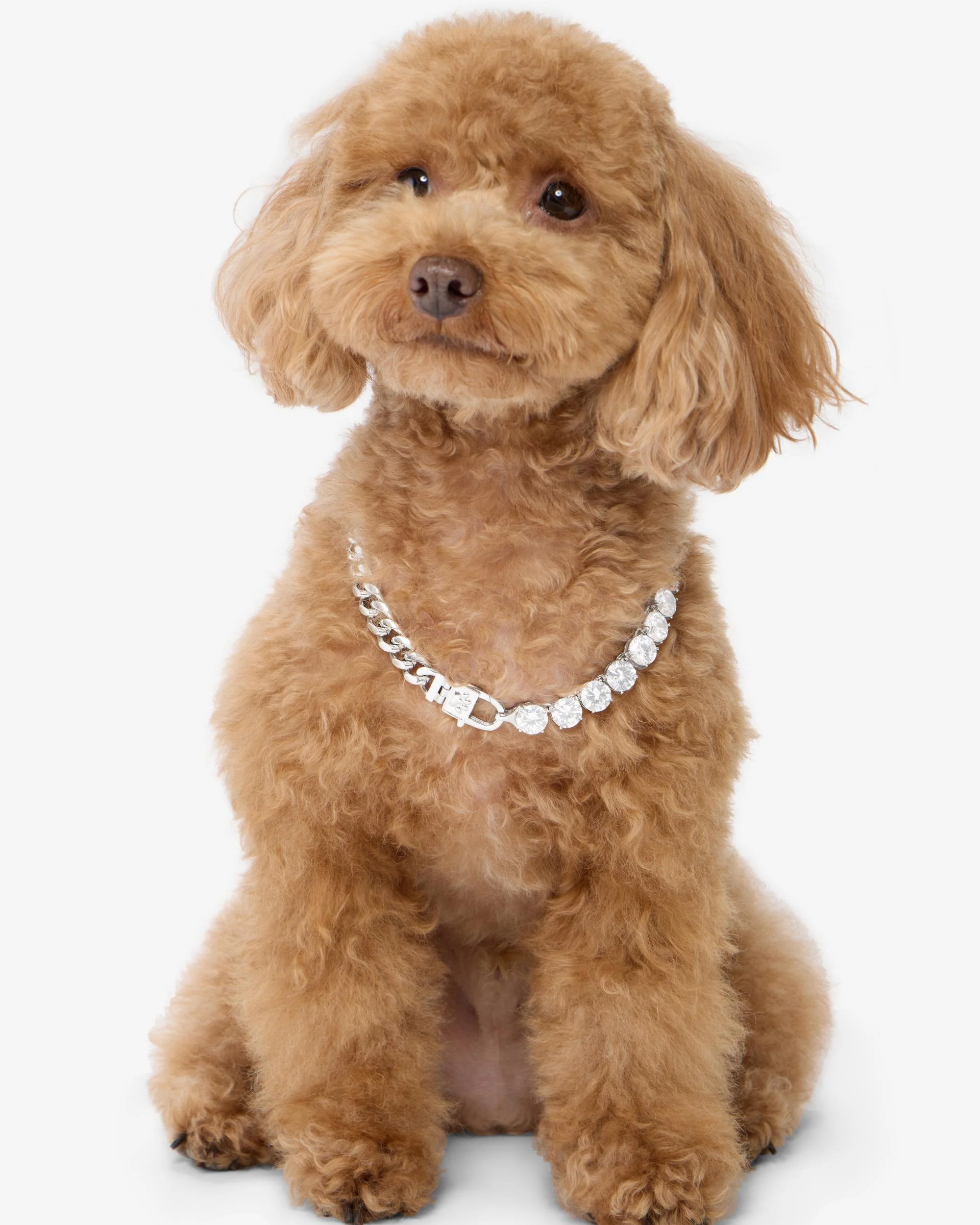 Thor Loves Diamonds Pet Necklace - Silver|White Diamondettes - Image 7
