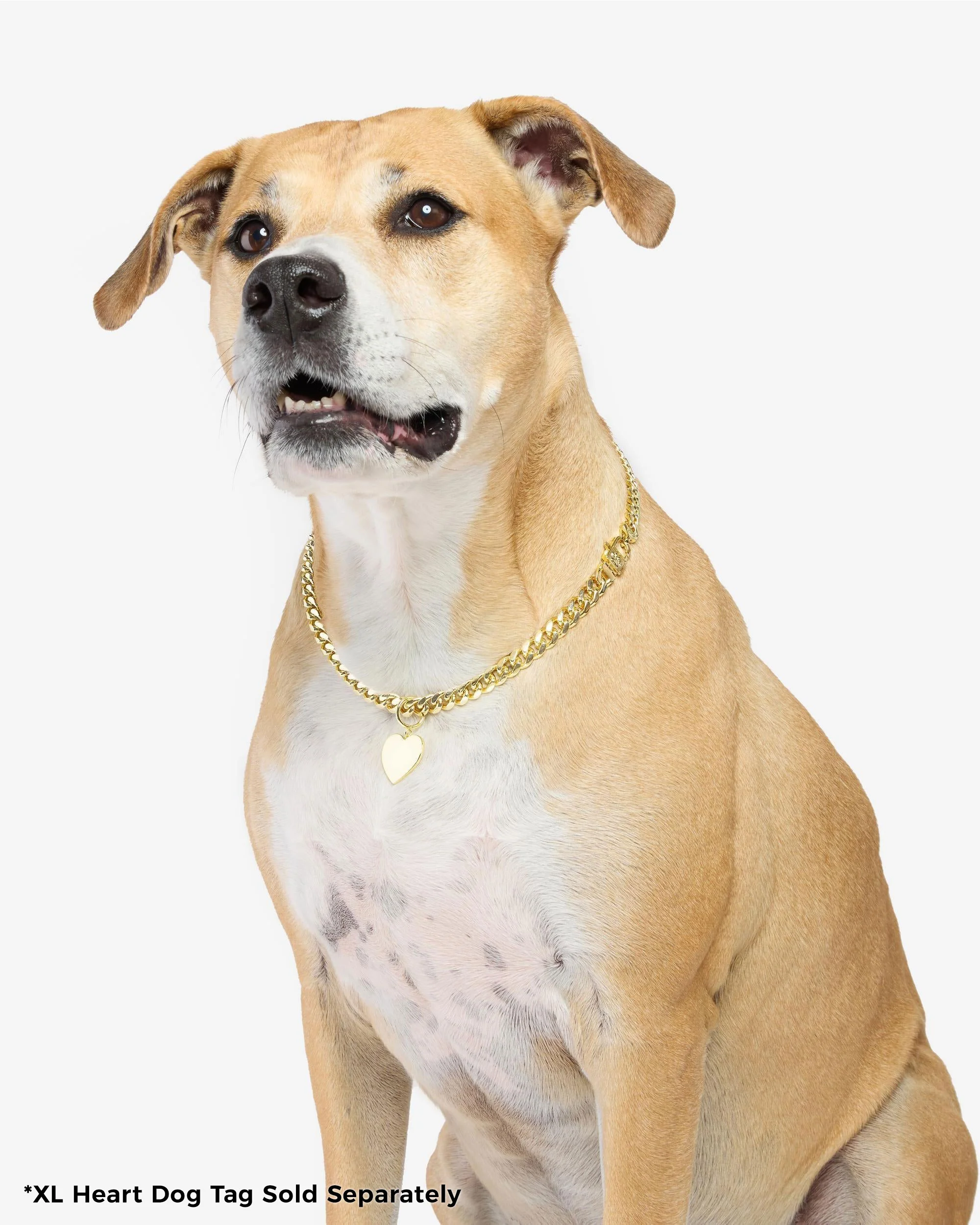 XL Heart Engravable Dog Tag - Gold - Image 3
