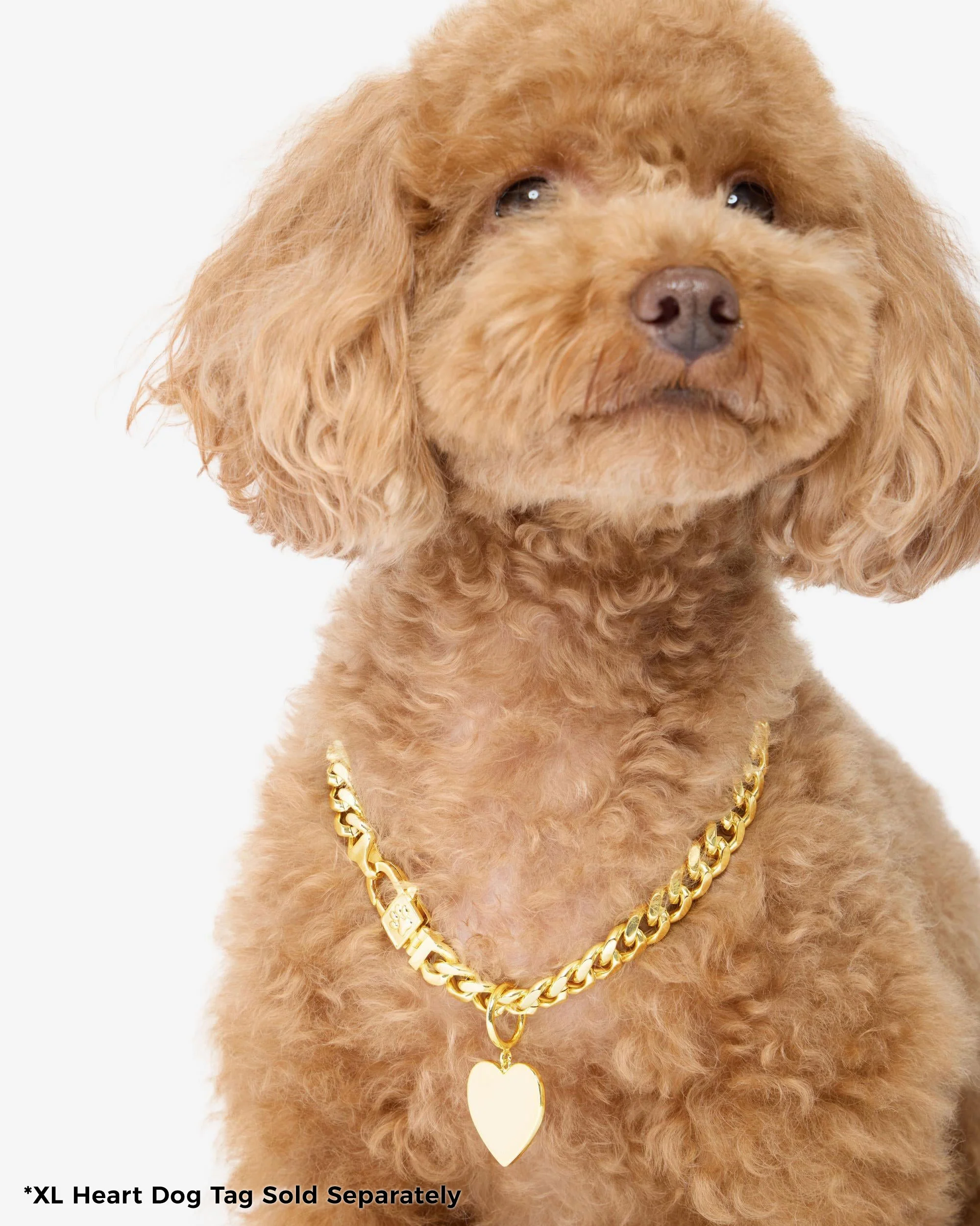 XL Heart Engravable Dog Tag - Gold - Image 5