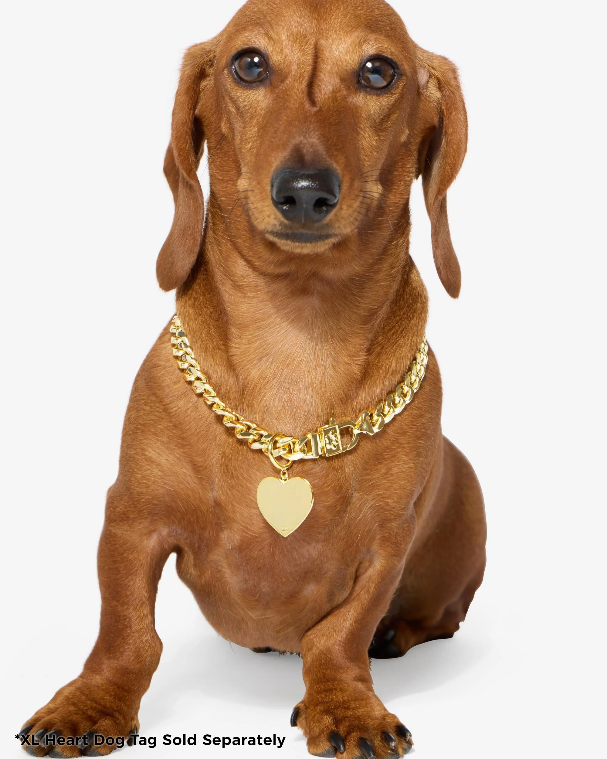 XL Heart Engravable Dog Tag - Gold - Image 7