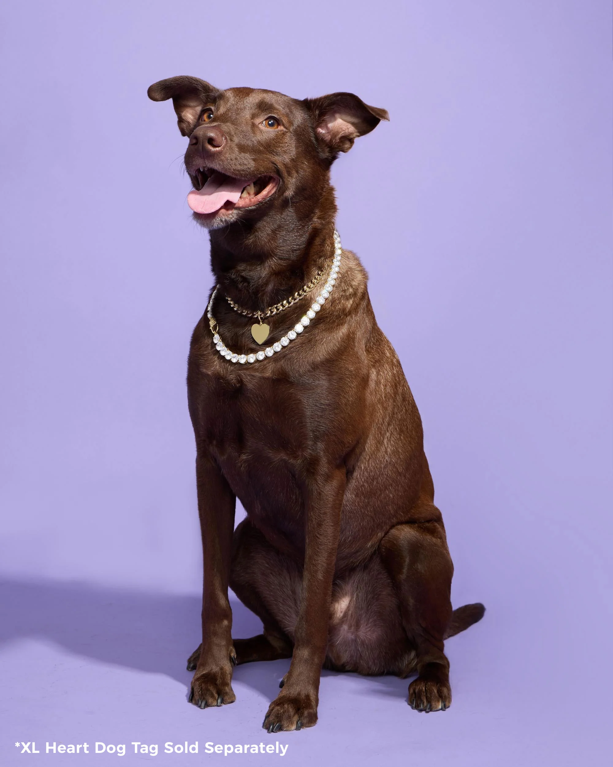 XL Heart Engravable Dog Tag - Gold - Image 8