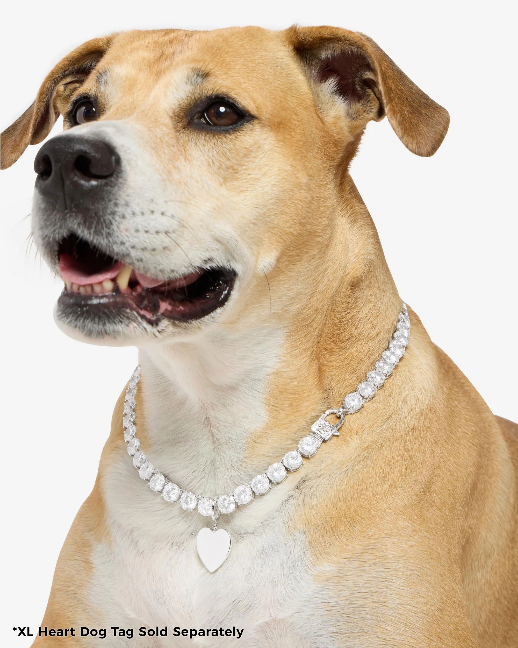 XL Heart Engravable Dog Tag - Silver - Image 5
