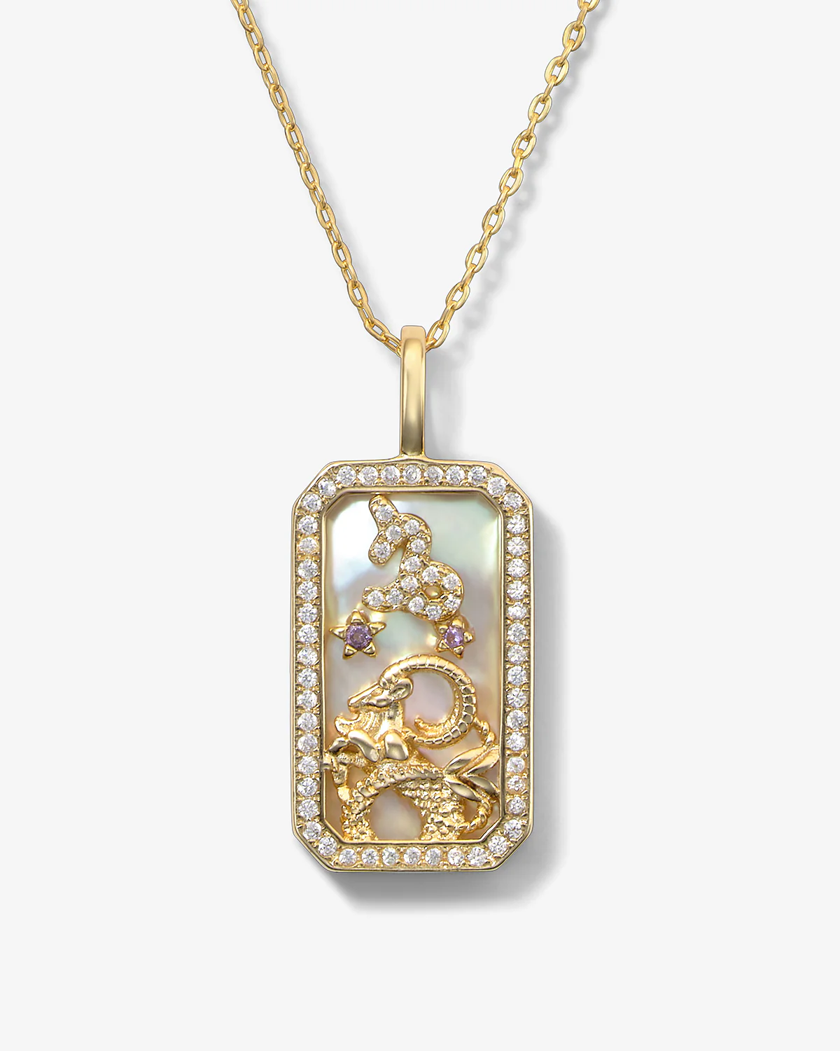 Zodiac Amulet Necklace - Gold - Image 8