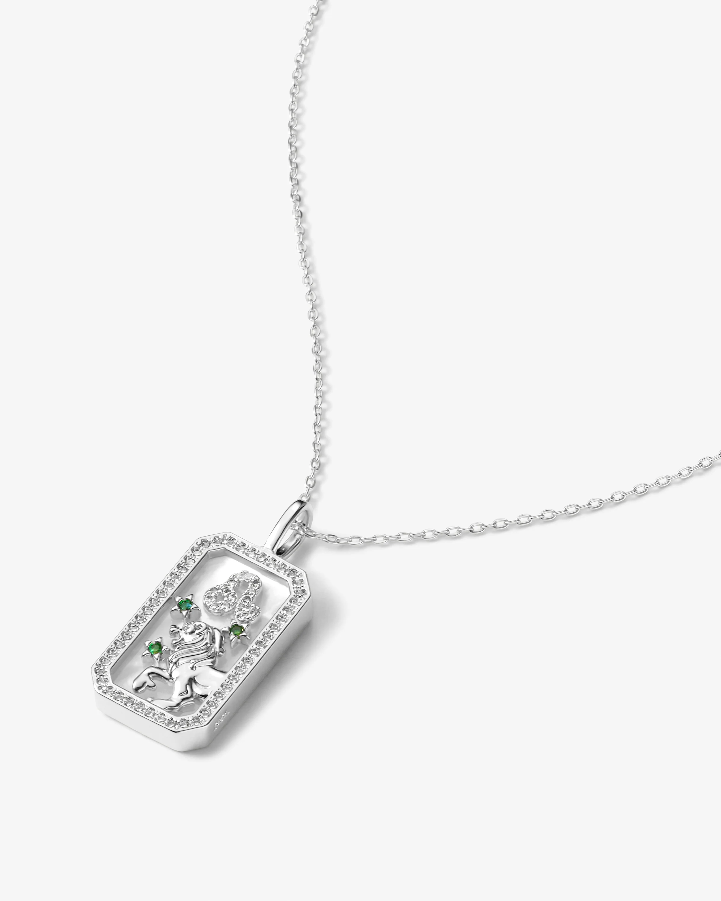 Zodiac Amulet Necklace - Silver - Image 16