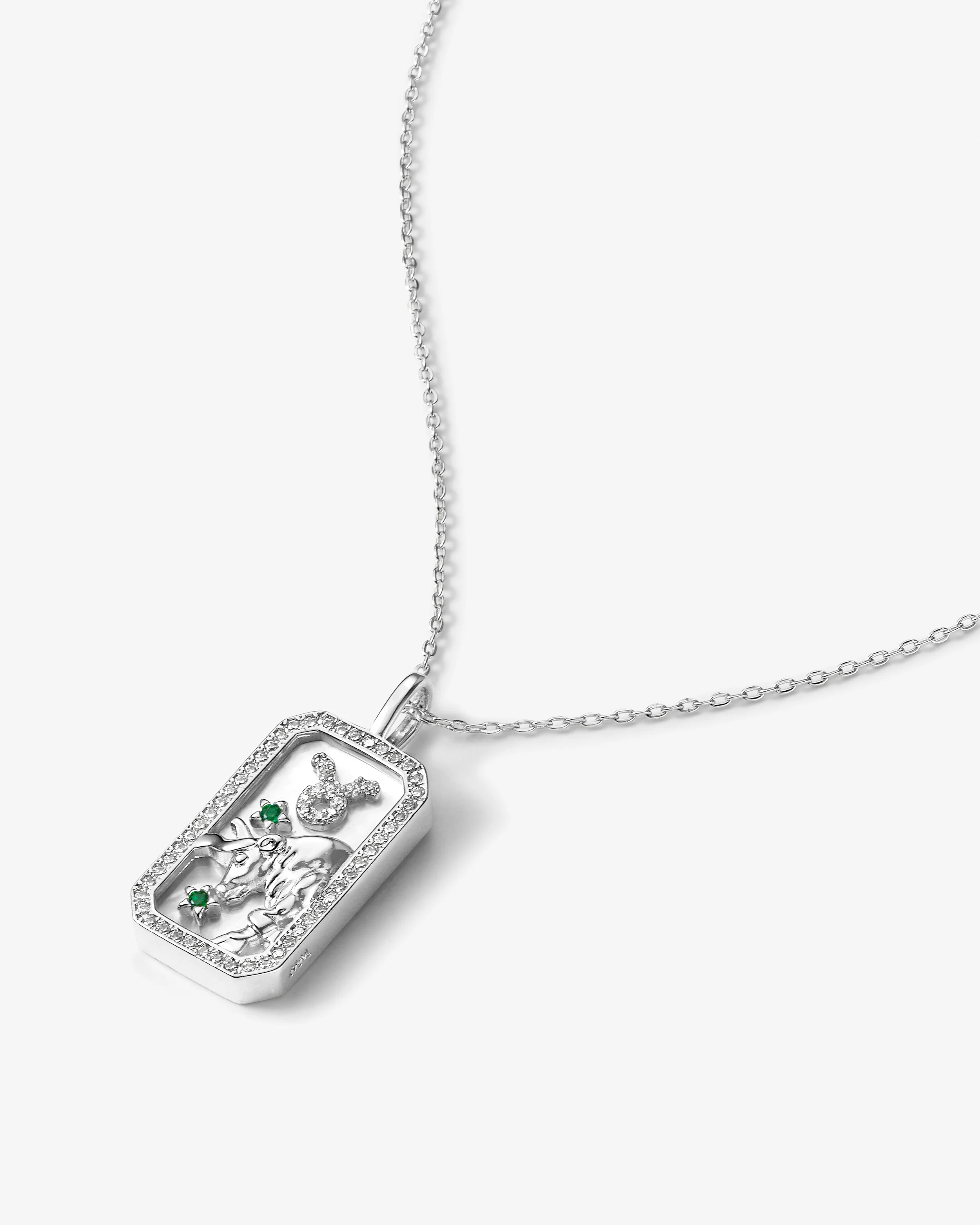 Zodiac Amulet Necklace - Silver - Image 19