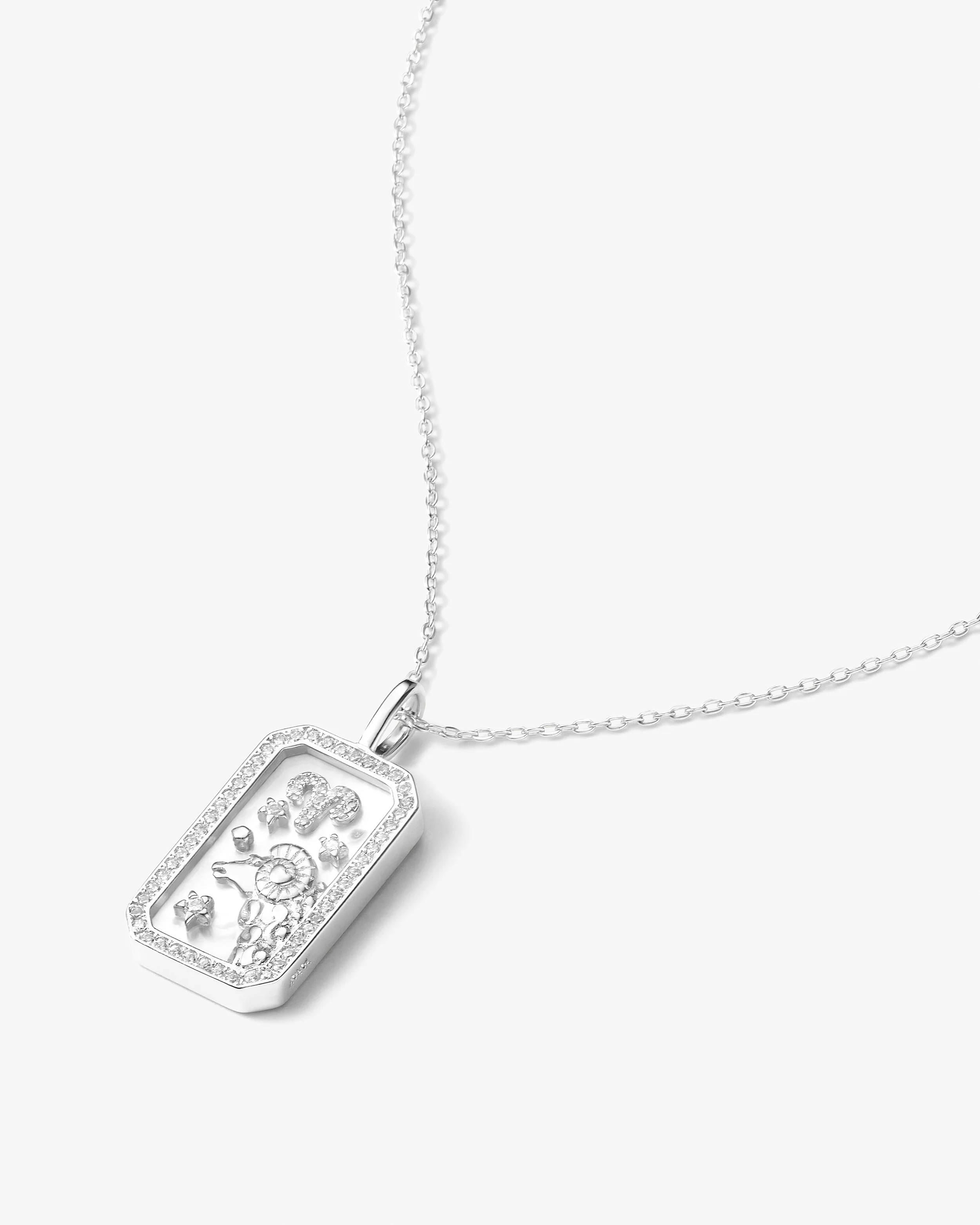 Zodiac Amulet Necklace - Silver - Image 20