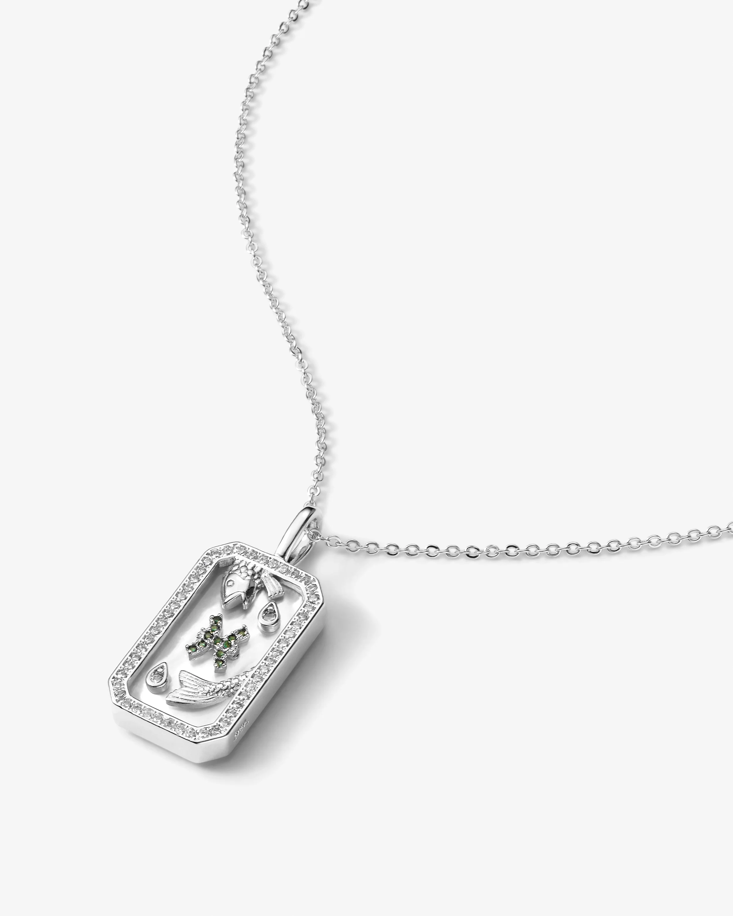 Zodiac Amulet Necklace - Silver - Image 21