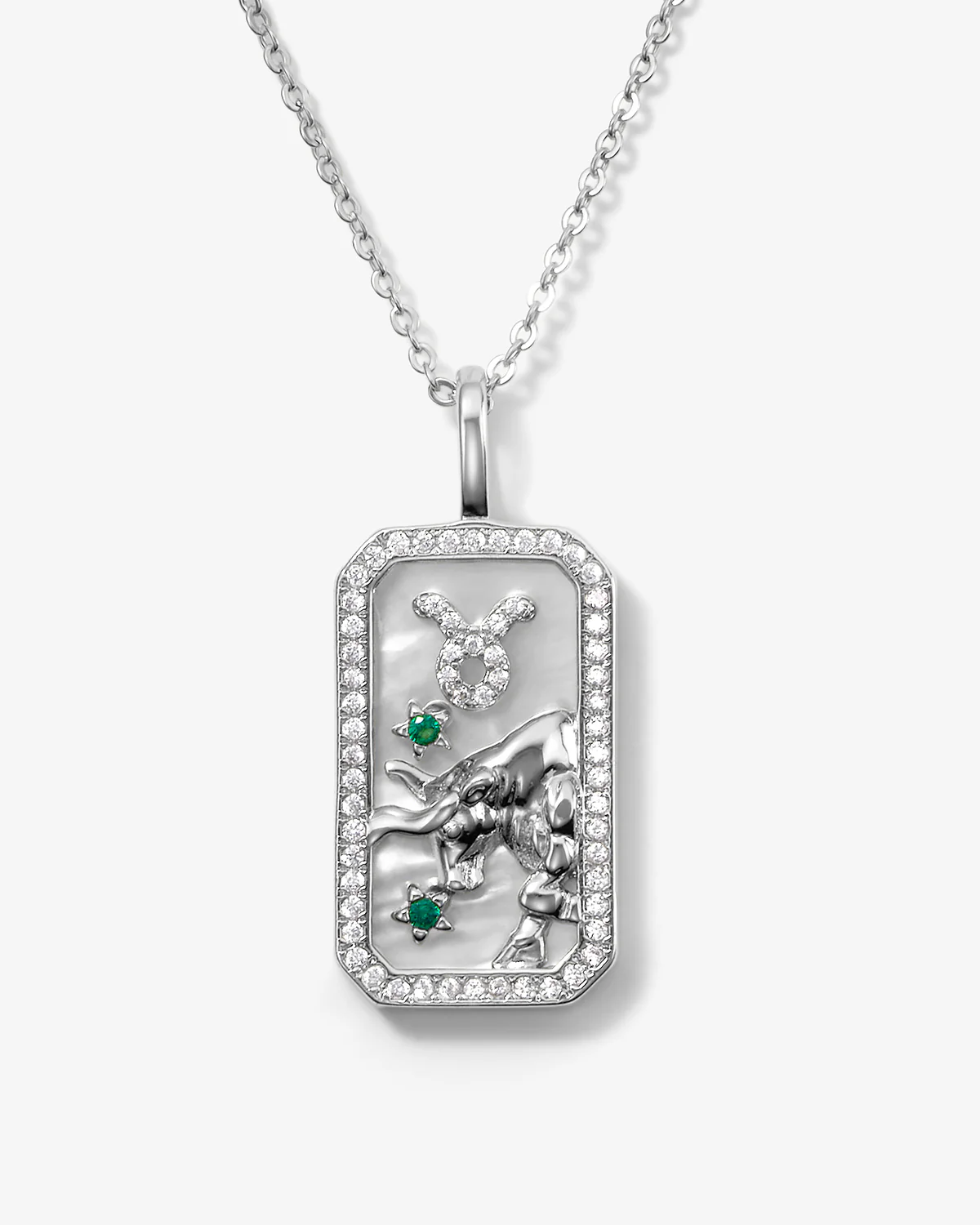 Zodiac Amulet Necklace - Silver - Image 5