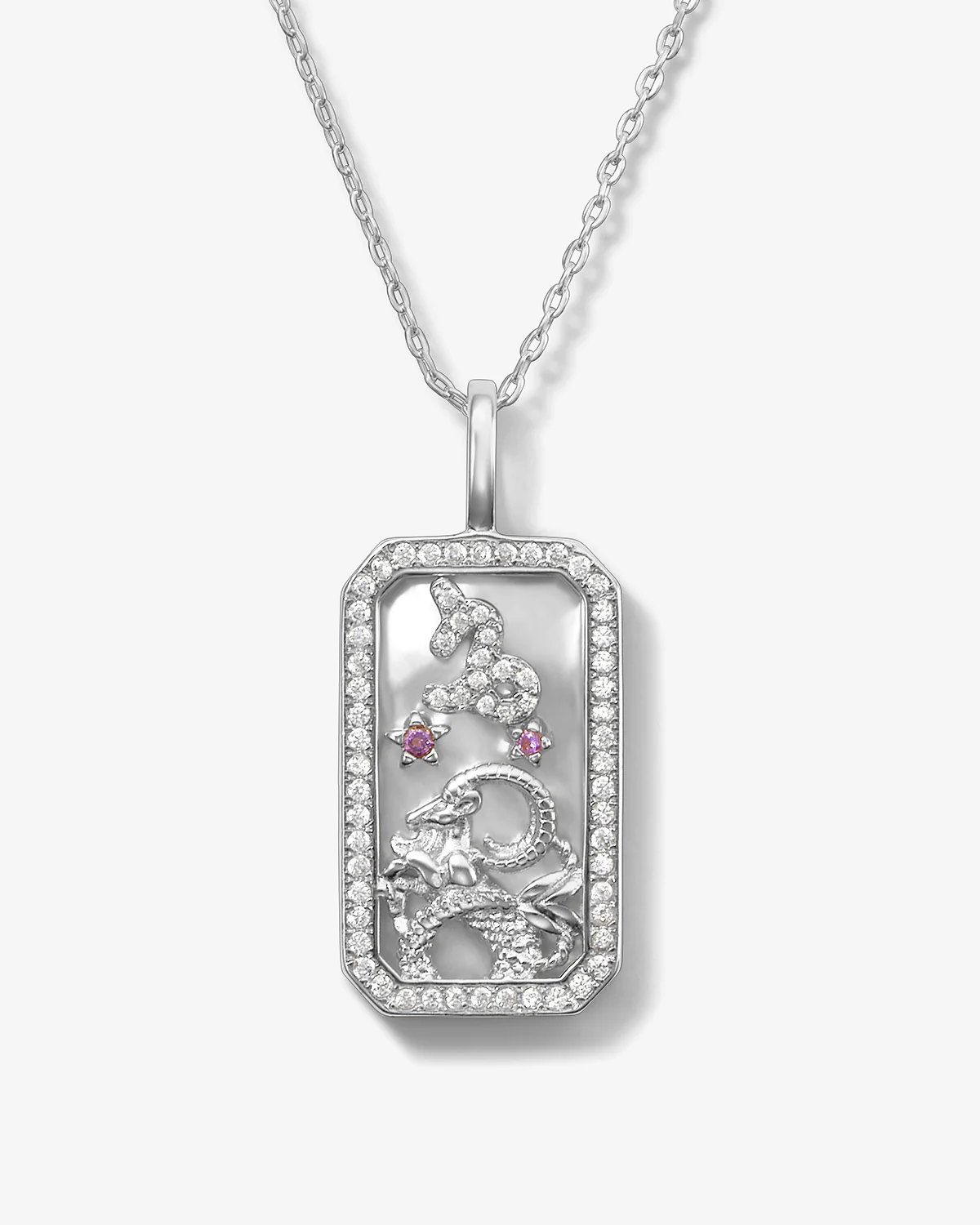 Zodiac Amulet Necklace - Silver - Image 8